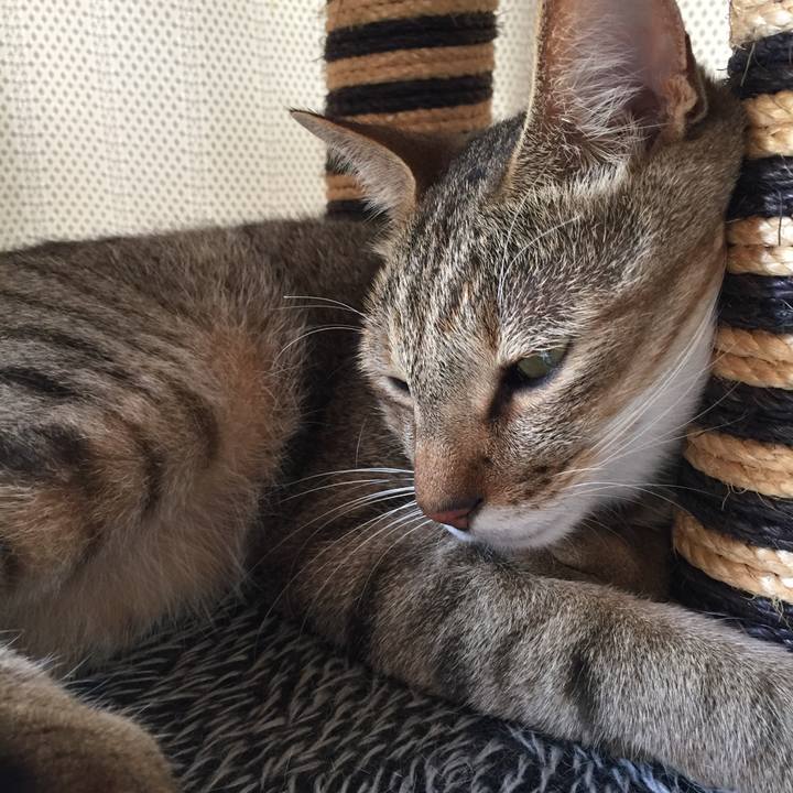 54c2f9ed 21fe 45b8 aa46 0ac395f31923