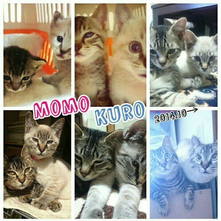 54c31d13 debb 472d 9c62 b94bf36edc2d