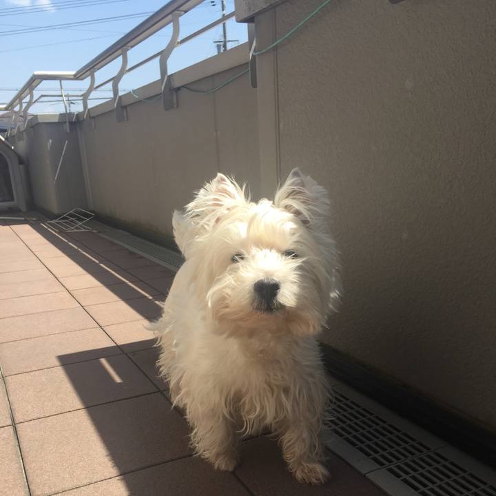 54c3a92e 6103 44ad 9a9b da76f8d9bd4b