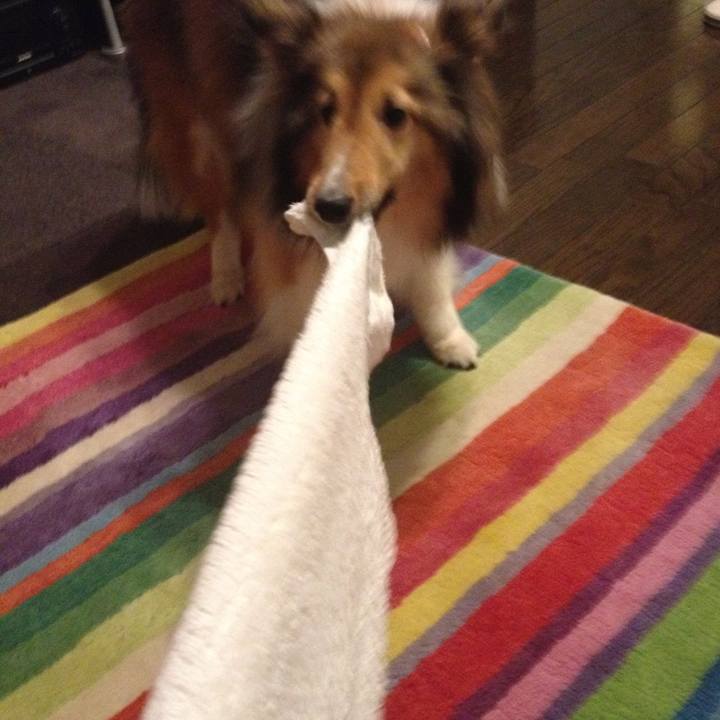 54c3d55a b3e1 4395 9572 612ad5c40322