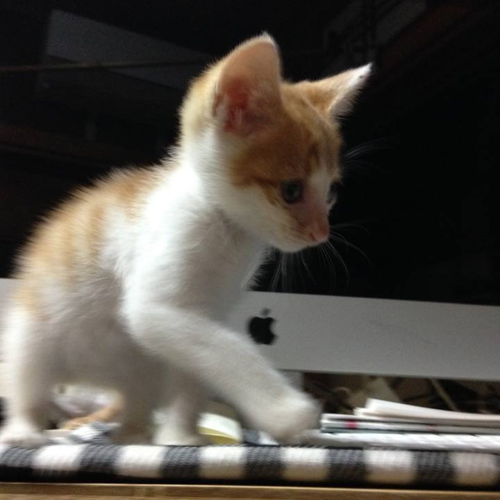 54c51695 cffd 4a17 b2d0 6c0b2ba35f6e