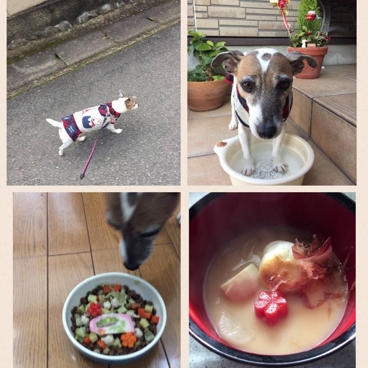 54c5e913 e30f 4108 b3b3 b37aa674cb3f