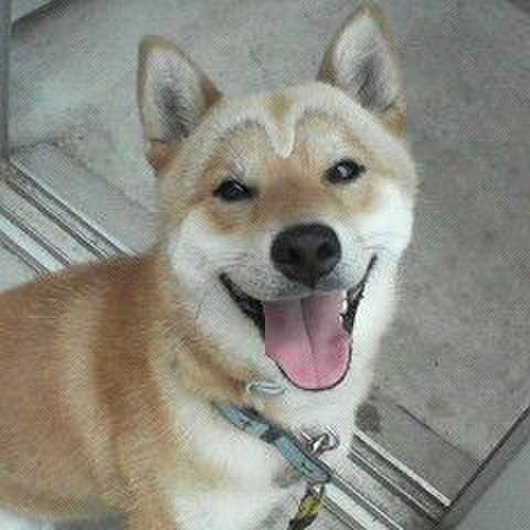 54c5fa74 f112 44cc 85ee 3e13b0c1e18e