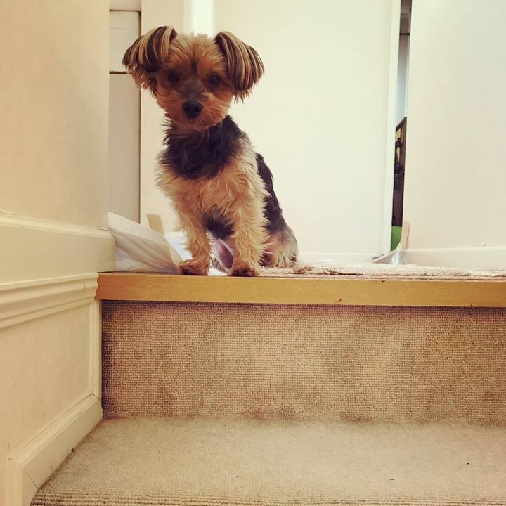 54c61c2c eb7c 4364 a8d2 c3dd08e0f35f