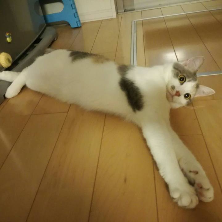 54c77bd4 78fc 4c40 bc65 bf01ad2def71