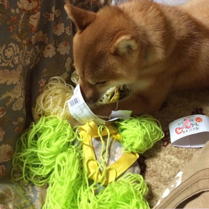 54c81cad 4900 47b7 ba3f aaf1a5e037c2