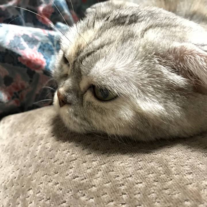 54c83549 211b 4500 bfd9 f09b14ced931