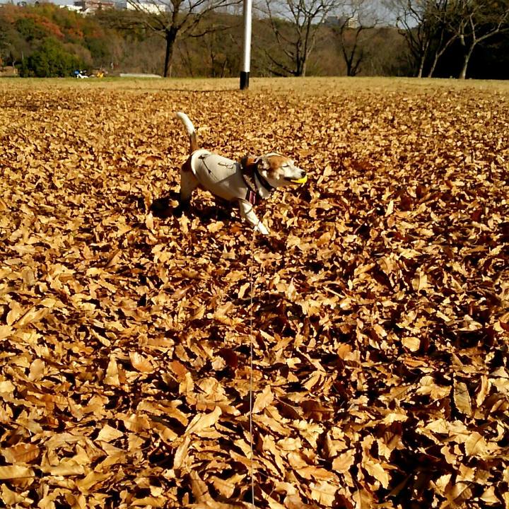 54c87288 237f 4ced 996b 9b32395922d1