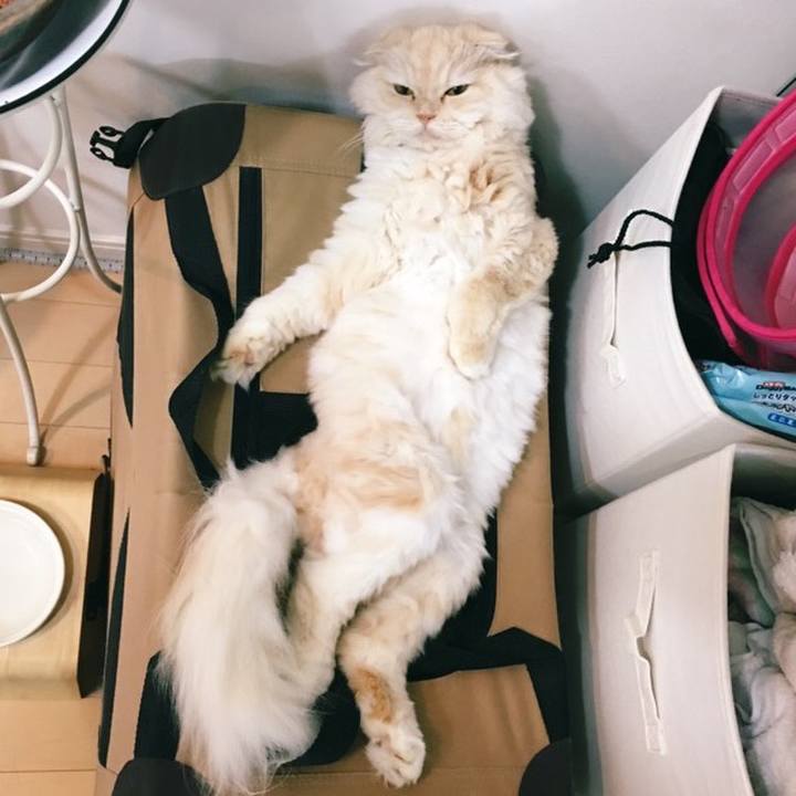 54c8a366 0171 4a41 9701 16b86aaaa79a