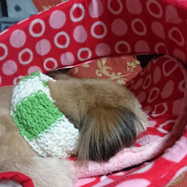 54c97382 358d 4783 97c3 52bef8326b12