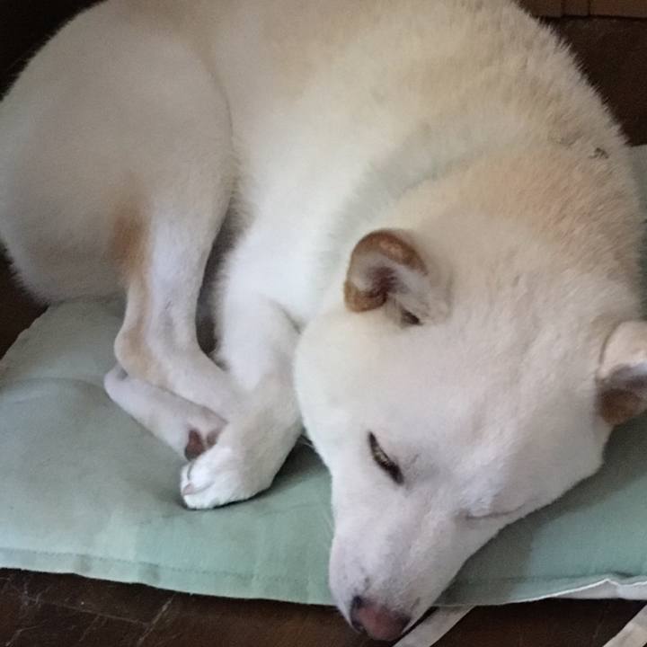 54c9a3e4 9ff5 4147 b20f 5db1cce86771