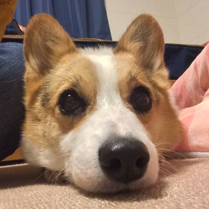 54c9dfca d144 4cdd b44c 681b7a792e4a