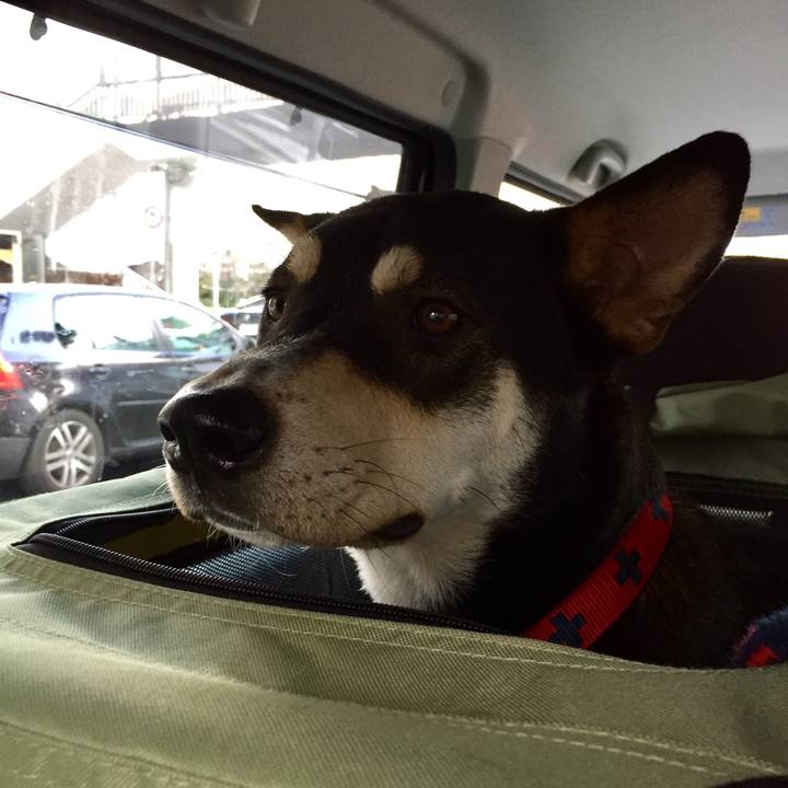 54ca15ad 0c49 4378 abf2 788091e2aea9