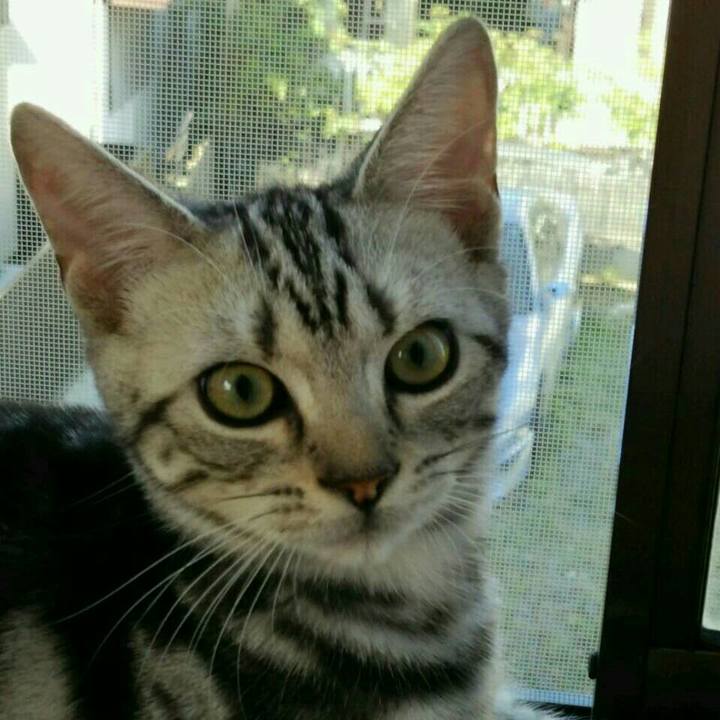 54ca202e f5ef 4bc7 8499 36f57f626e65