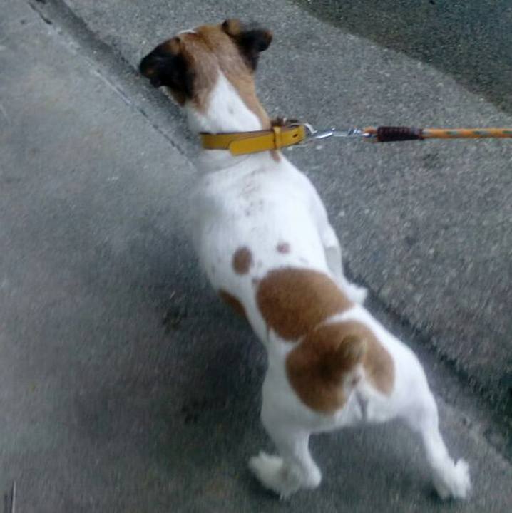 54cbd3aa 0905 41c2 9724 e5e454f21aa4