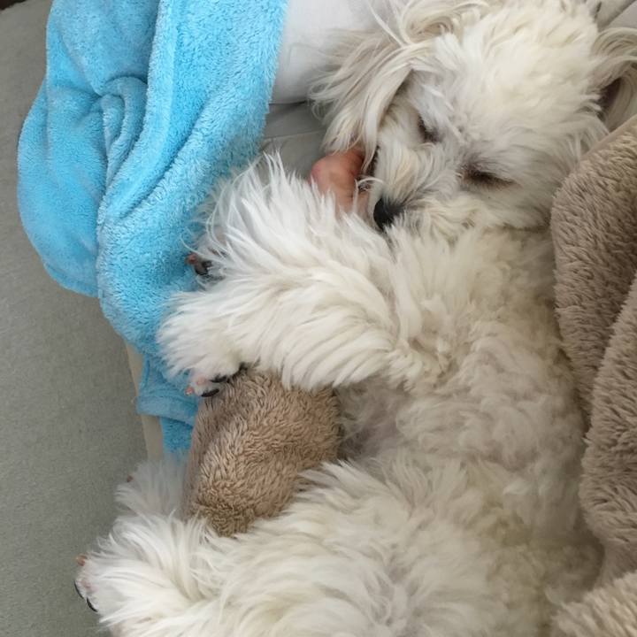 54ccd83a 2c61 4646 aac0 2a38c09e962b