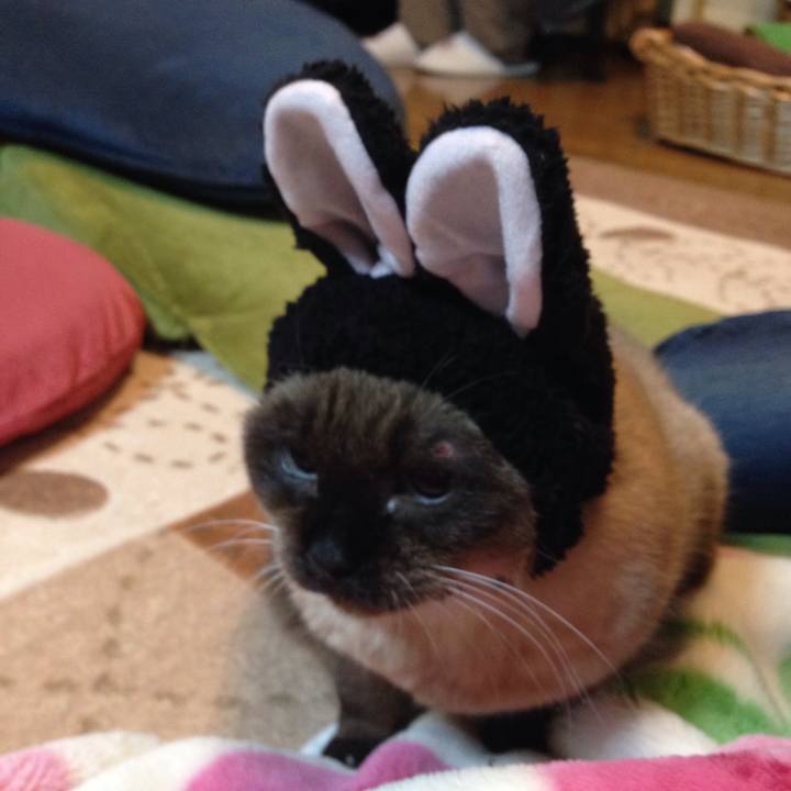 54cd2b52 086b 4d3e 9c47 99e9133d2e82