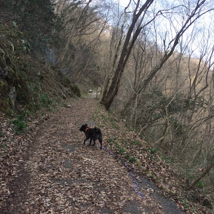 54cd4e90 d4a3 45d4 843b d50d875b8ee3