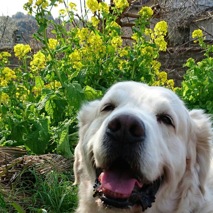 54cd5be6 9f5e 46f1 83a8 99787283d1cb