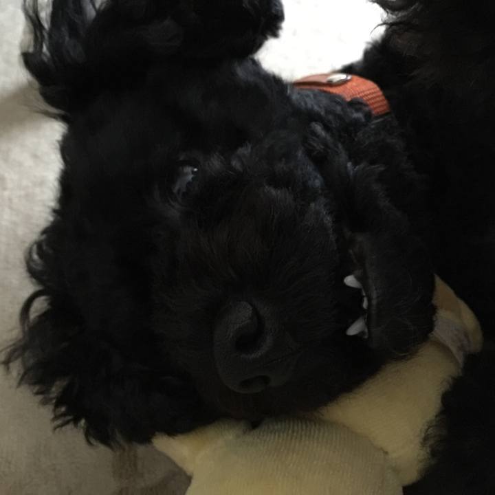 54cd630b 99ec 4311 af5a 1873c8c2ff1e