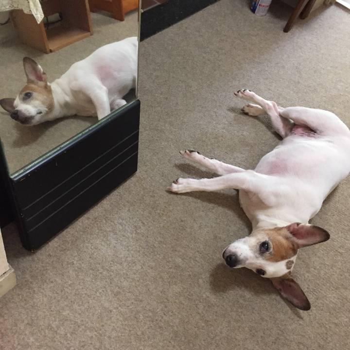 54cdb4a2 26b5 45f8 bd9b 1883eb7a67a3