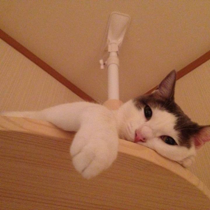 54cdcc15 efe1 49c0 bc74 8207186d16e9