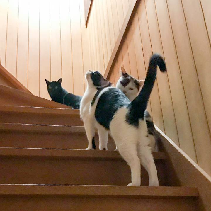 54cde3ee d7ab 4aef aaa5 a46450b97d8c