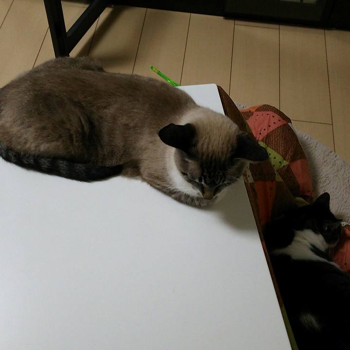 54ce46b0 d7a4 47e7 b0db e6c1a99c9100