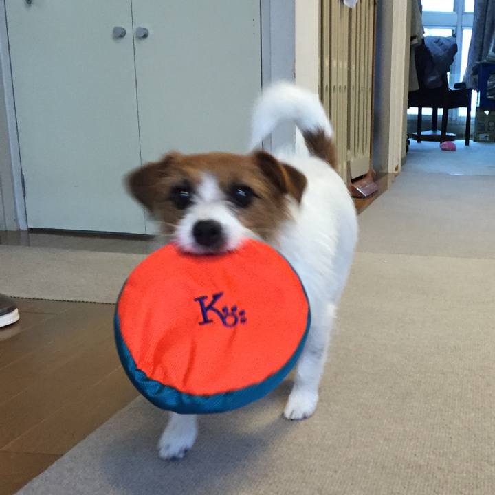 54ce530b aba2 4224 a882 94b217cd2160