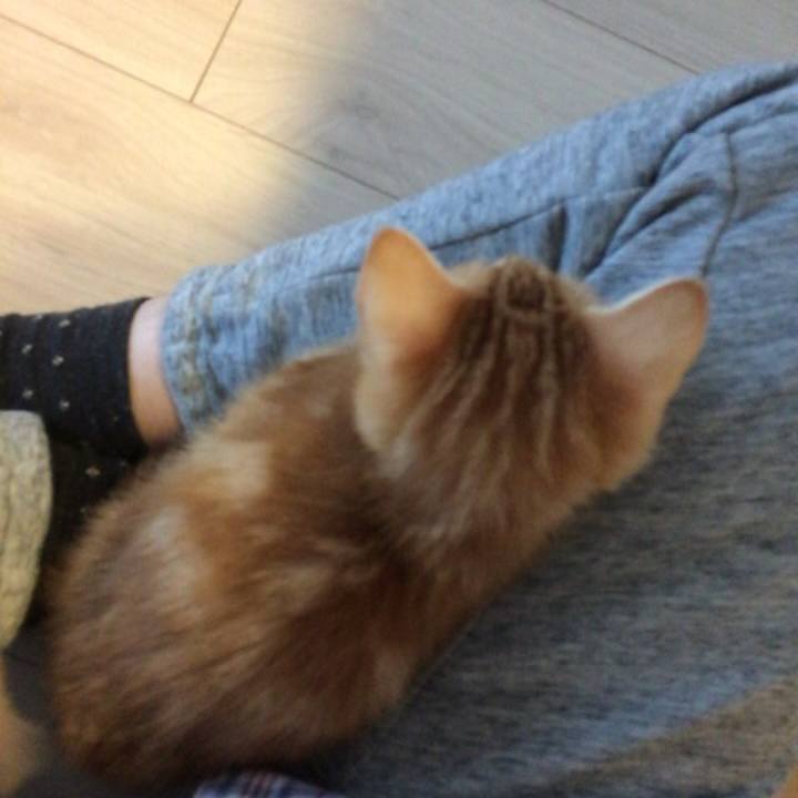 54cfc719 45ef 46b8 87fb bf86fdc462b4