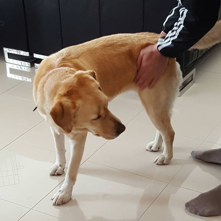 54cfc729 d048 4ee9 80e8 adf5088d0010