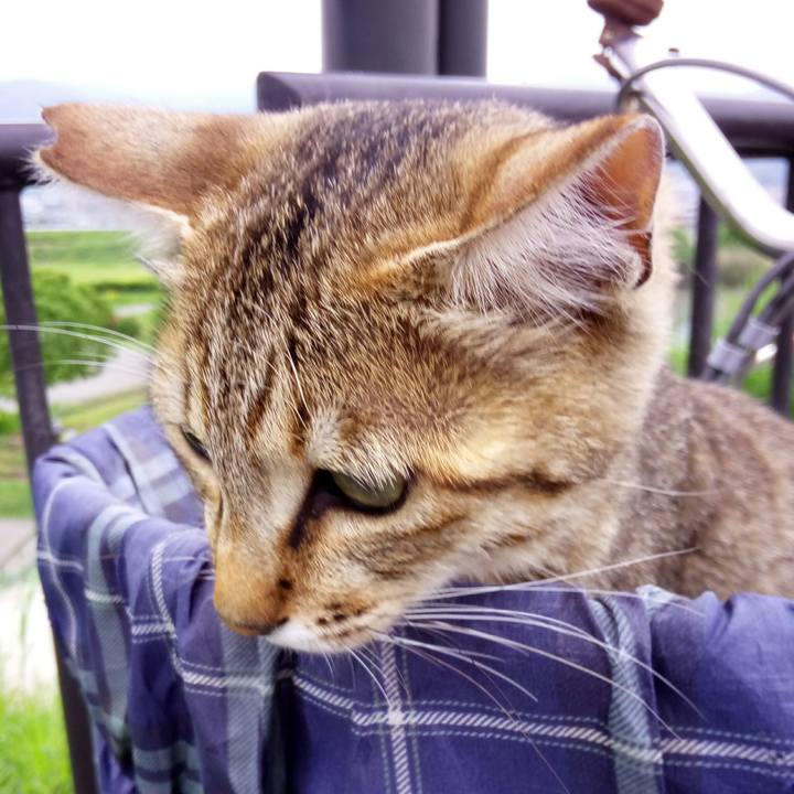 54cff369 a827 4eb4 9ea9 f1b5a2cc00b7