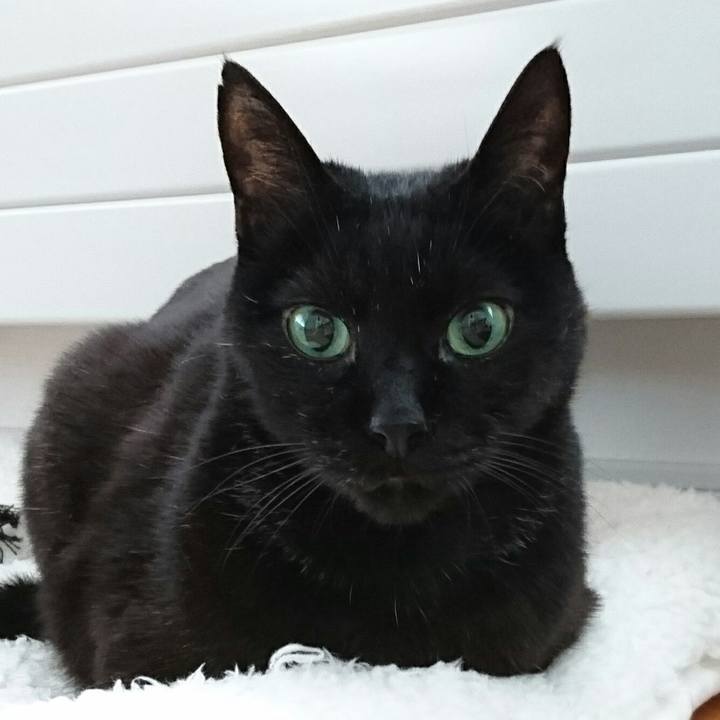 54d02d07 b121 435d ac8d a8c6592a4155