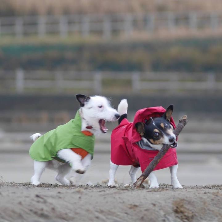 54d0c011 54b0 4afa b5d6 0994aa05a835