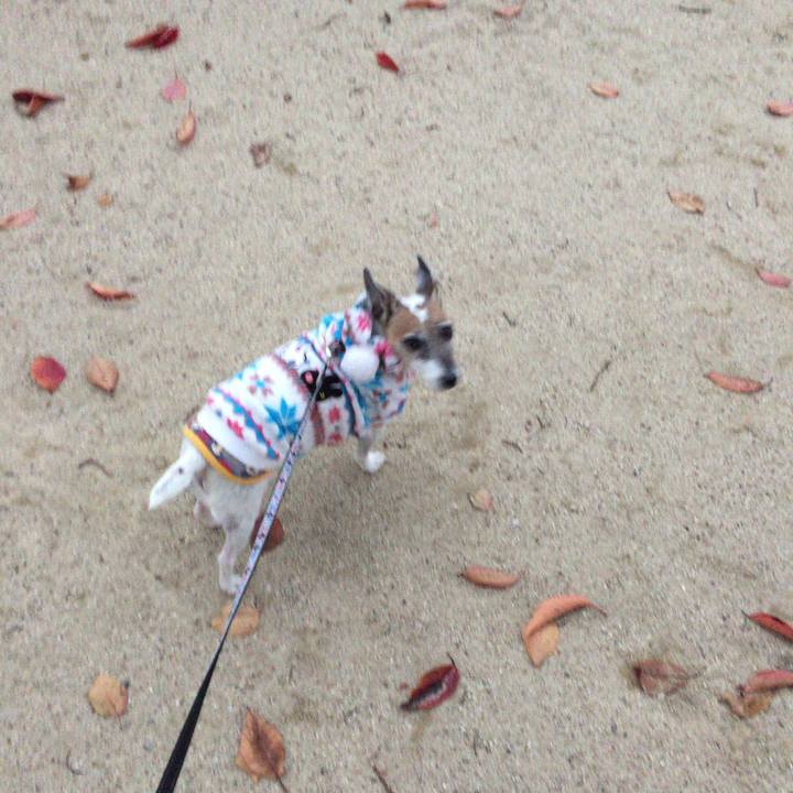 54d1a3eb c101 4ca6 bca2 bb877e9e054f