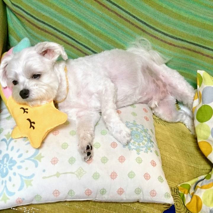 54d1f6b3 71ce 45a3 ac98 034056304387