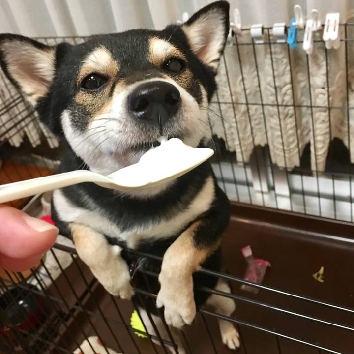 54d266c7 a570 4aca b016 f03a44c816ed