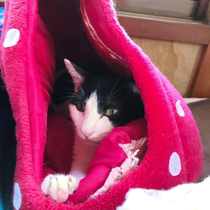 54d3bea7 c2b7 4d99 aed1 37c3687e546d