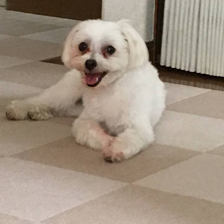 54d52623 f08b 4092 aad5 a7555fbeb1e8