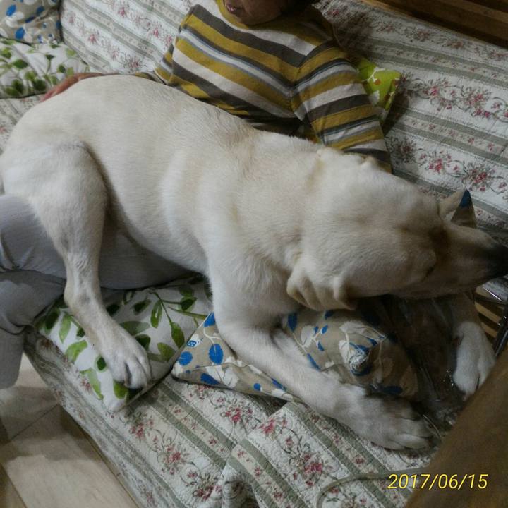 54d5bc1b 3335 4ae2 9822 d30ee99f6675