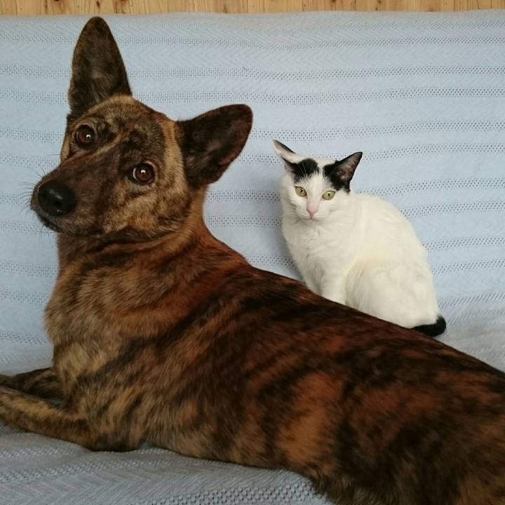 54d5d1ca 6edb 4826 b76c 5f8ef71c7006