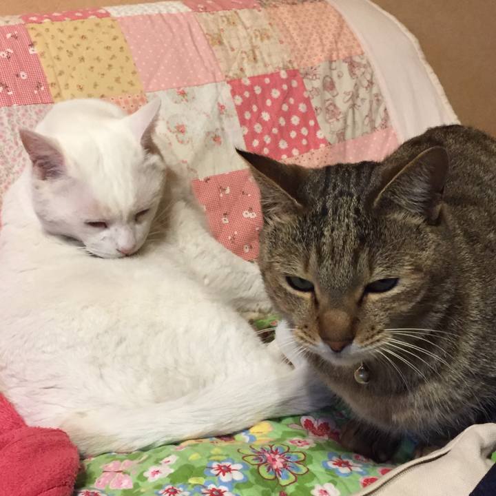 54d61052 e2b7 4f42 9d9a 8069fd5e216a