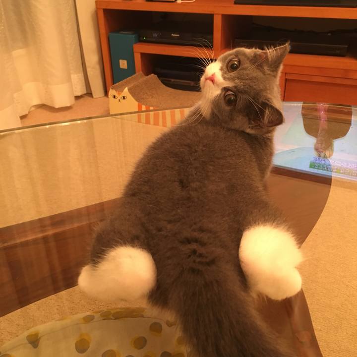 54d64b97 d62c 45c5 9c31 d9fdfef9f661