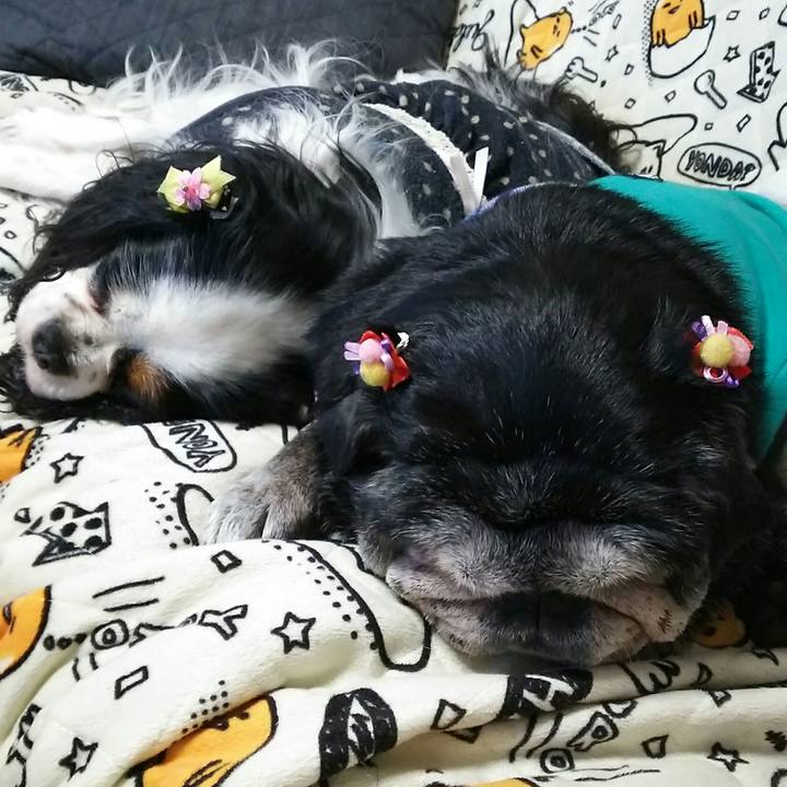 54d6aa0f 815d 410b a322 7c6401166e09