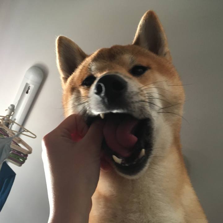 54d6abe7 5cde 42c4 a388 866169afafb1