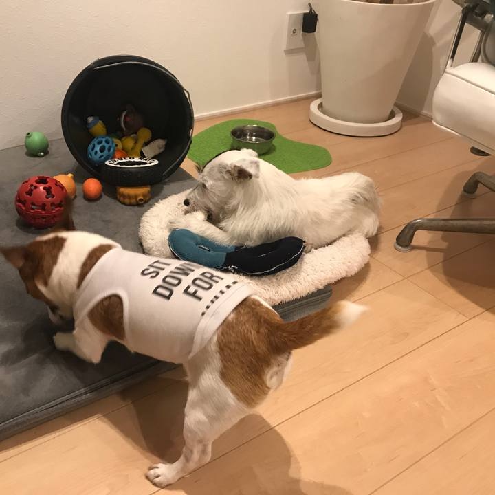 54d708ee 240f 4abb aadf cd3754afd13c