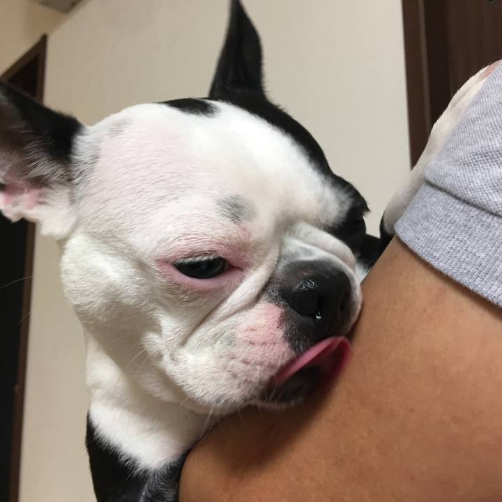 54d743b8 6710 49de 8e36 553447899555