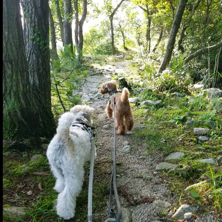 54d78997 be6f 499c a836 4b9eafcc5062