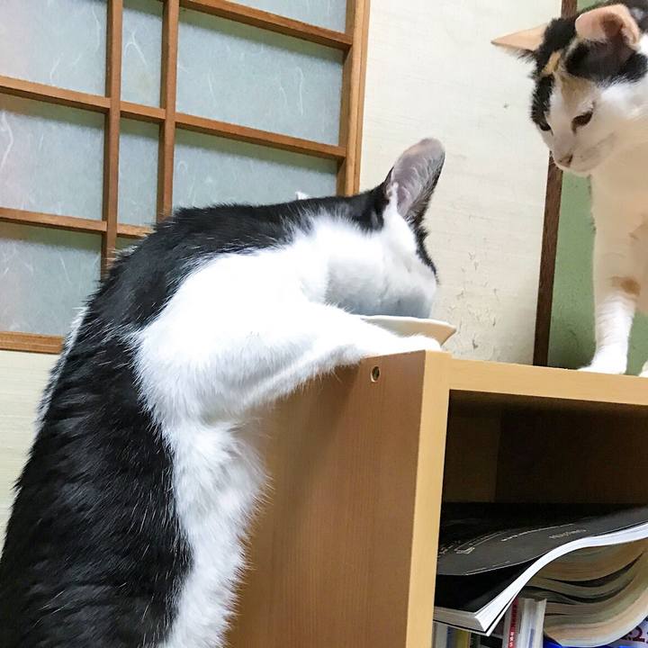 54d7e6c5 b7e5 4813 aa9c 0d5c14c5d057