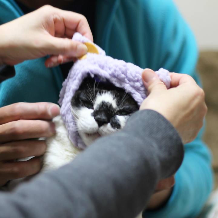 54d835ce fafa 43c0 9737 5b5786c14458